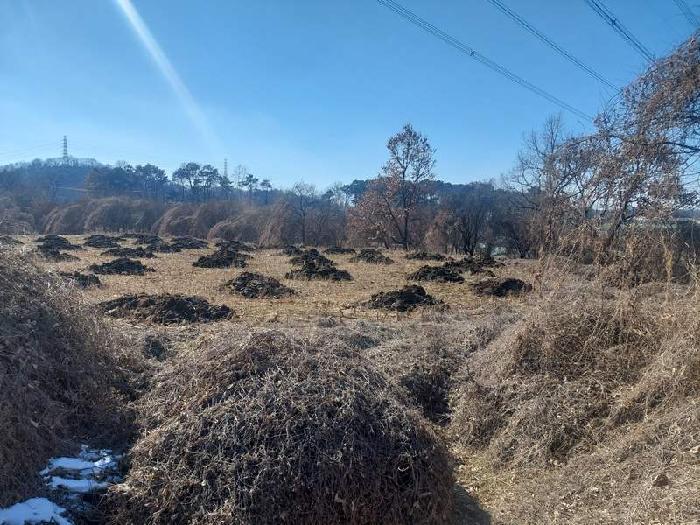 표시목록 1번 토지(전)