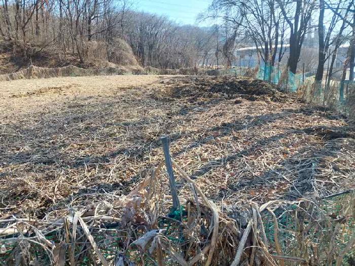 표시목록 2번 토지(전)