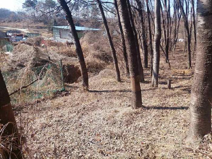 표시목록 6번 토지(임야)