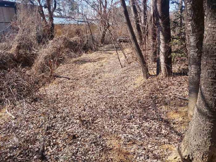 표시목록 6번 토지(임야)