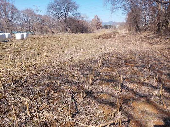 표시목록 5번 토지(임야)