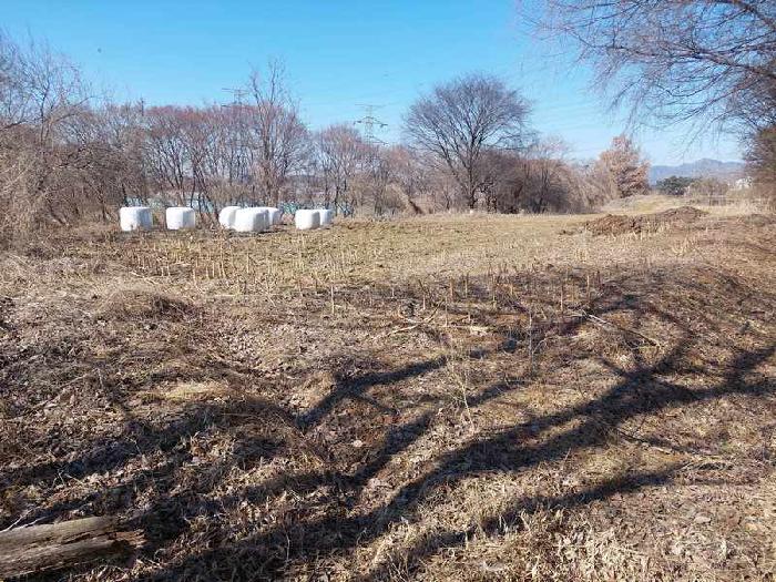 표시목록 5번 토지(임야)