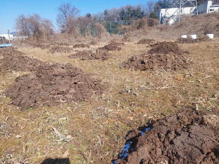 표시목록 5번 토지(임야)