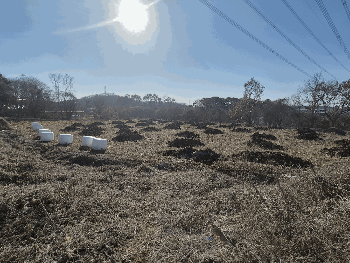 본건 기호(1) 토지 전경