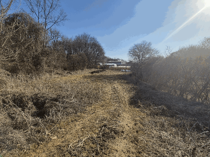 본건 기호(5) 토지 전경