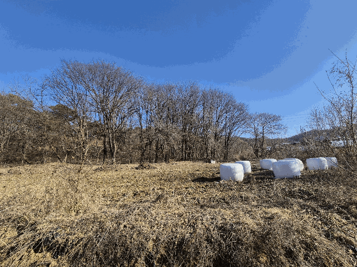 본건 기호(6) 토지 전경