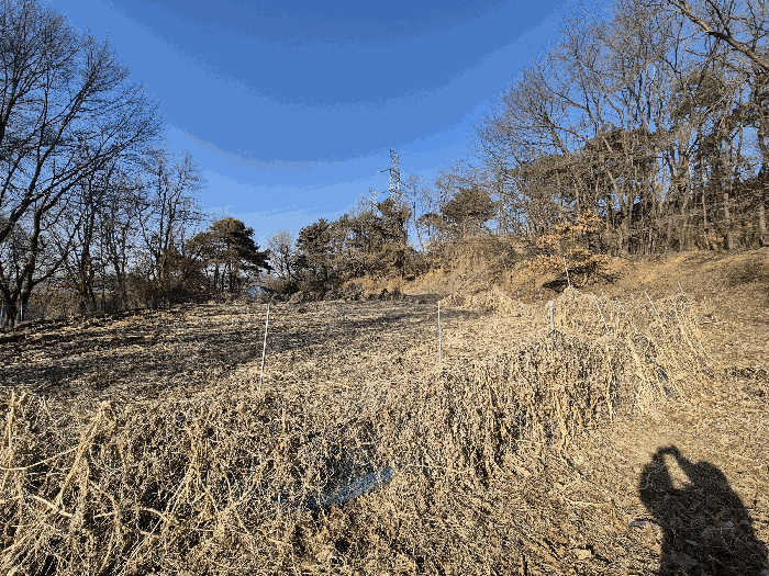 본건 기호(2) 토지 전경