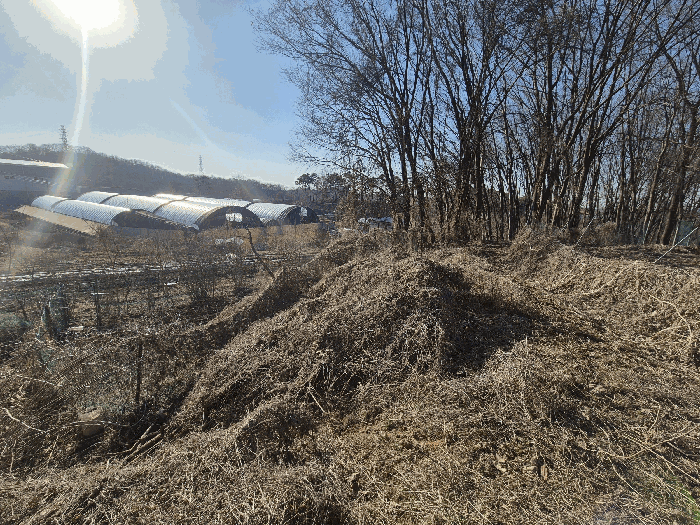 본건 기호(7) 토지 전경