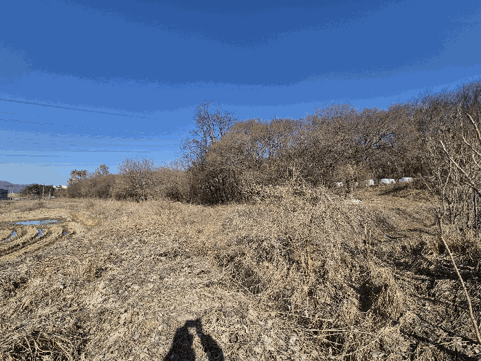 본건 기호(3,4) 토지 전경