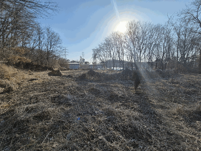 본건 기호(2) 토지 전경