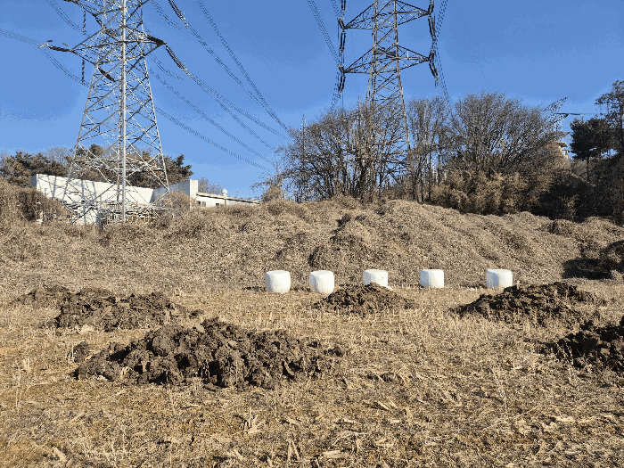 본건 기호(10) 토지 전경