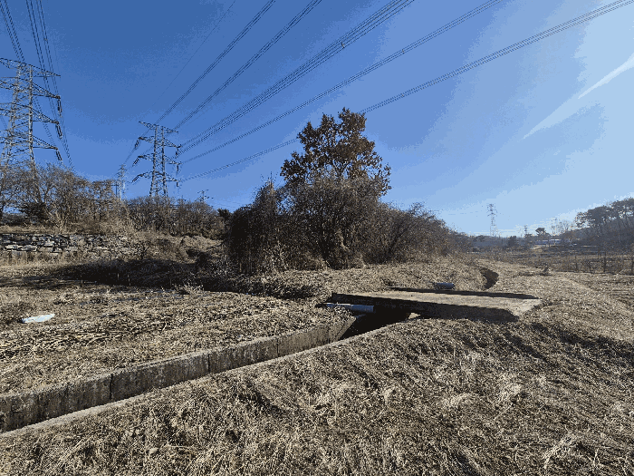 본건 기호(9) 토지 전경