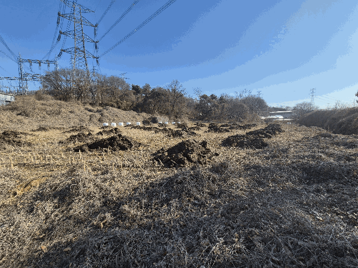 본건 기호(1) 토지 전경