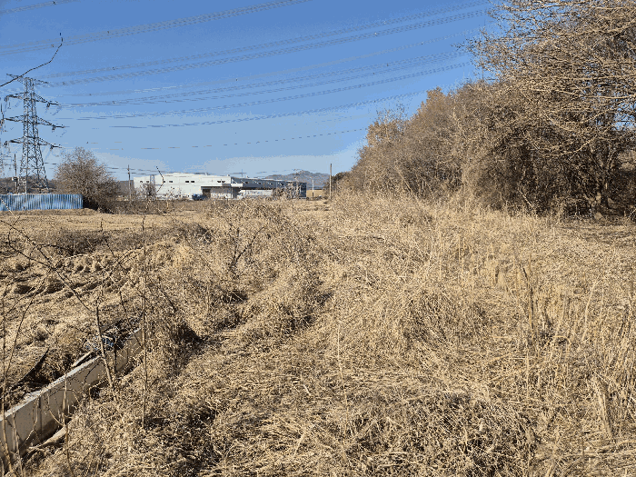본건 기호(8) 토지 전경