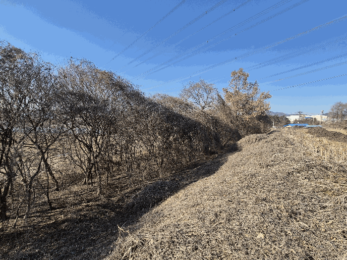 본건 기호(9) 토지 전경