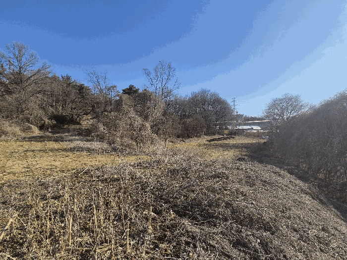 본건 기호(5,6) 토지 전경