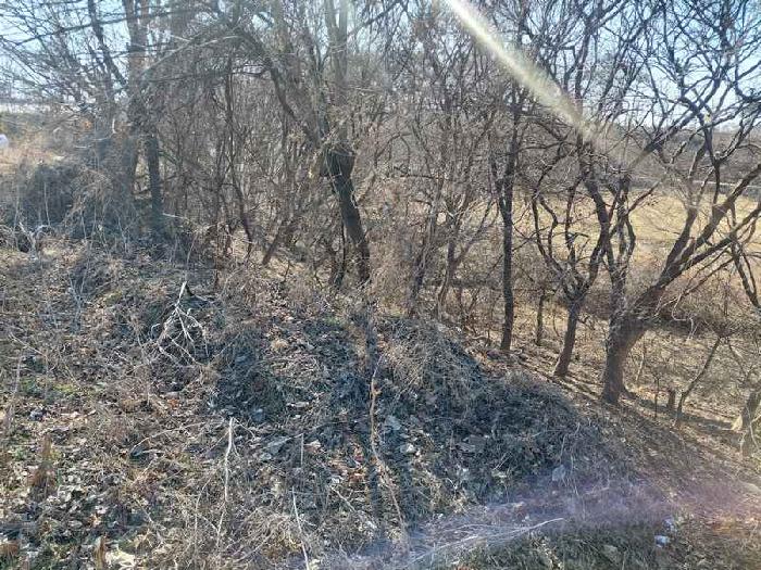 부동산 표시목록 4번, 8번, 9번 토지(임야)