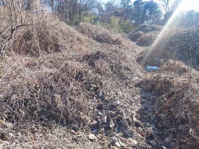 표시목록 2번 토지(전)