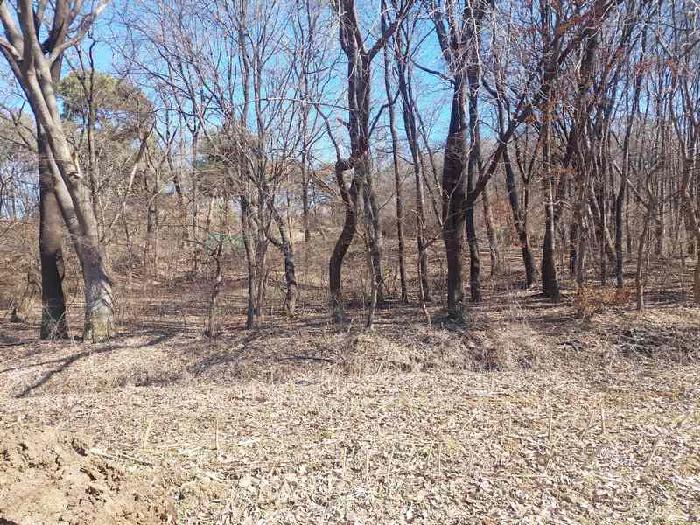 부동산 표시목록 4번, 8번, 9번 토지(임야)