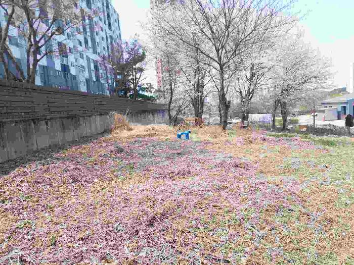이건 토지 12필지 사진 - 직산 청호 6차 아파트 301동과 302동의 외곽 주변의 토지임