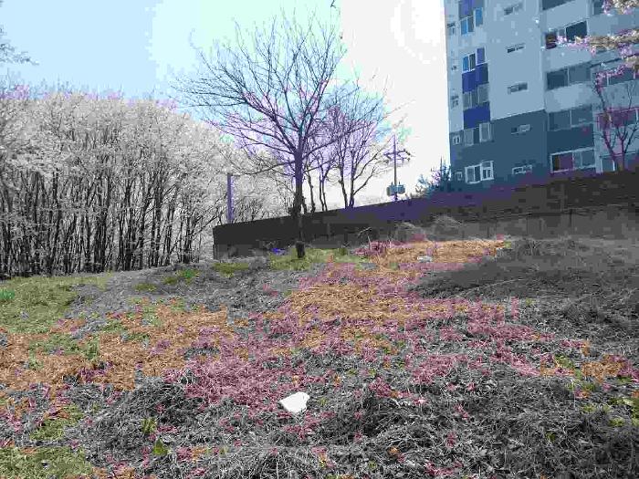 이건 토지 12필지 사진 - 직산 청호 6차 아파트 301동과 302동의 외곽 주변의 토지임