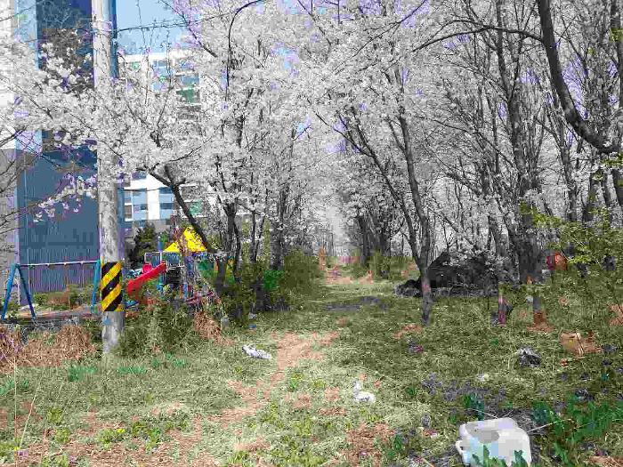 이건 토지 12필지 사진 - 직산 청호 6차 아파트 301동과 302동의 외곽 주변의 토지임