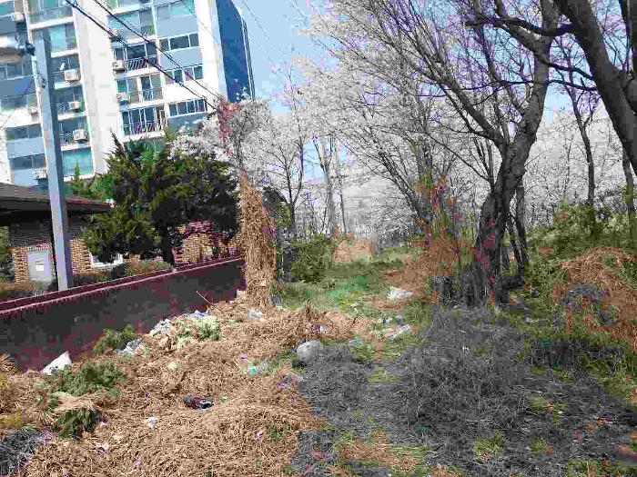 이건 토지 12필지 사진 - 직산 청호 6차 아파트 301동과 302동의 외곽 주변의 토지임