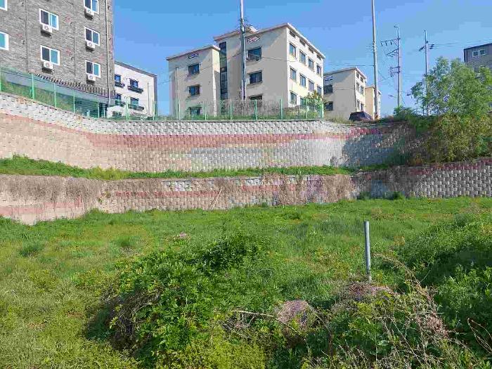 부동산 표시목록 5번 토지(전)