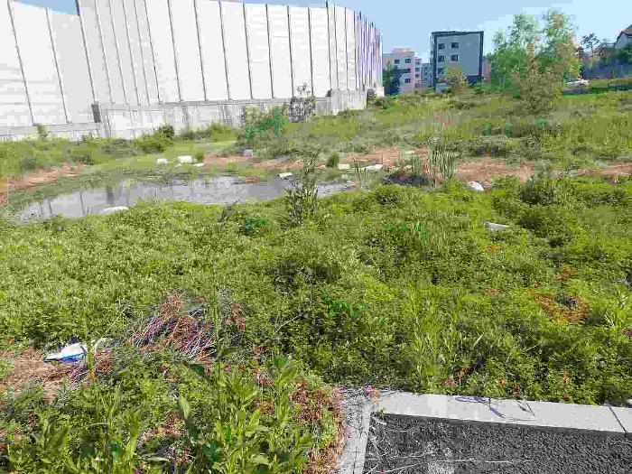 부동산 표시목록 3번 토지(전) 