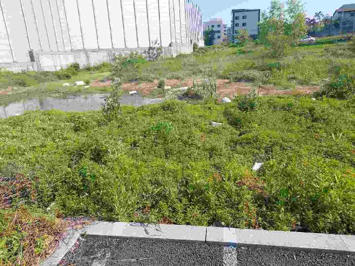 부동산 표시목록 3번 토지(전) 