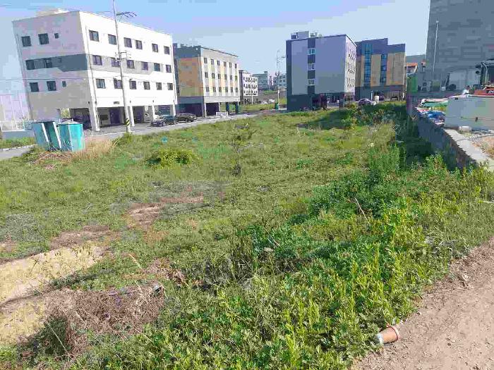 부동산 표시목록 2번 토지(전) 