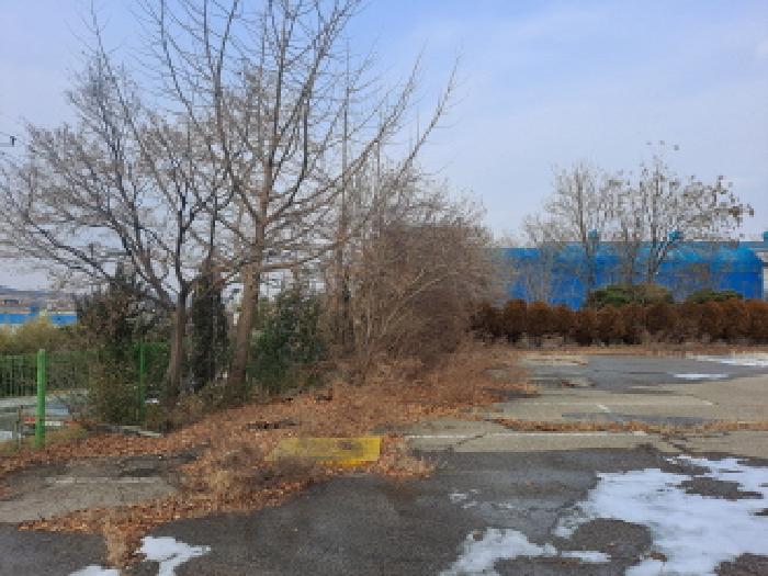 목록 1 서쪽 부분 수목 등