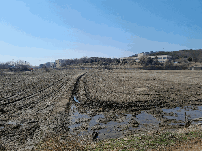 본건 전경(동측에서 촬영)