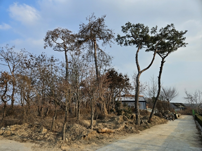 기호(10)토지 전경