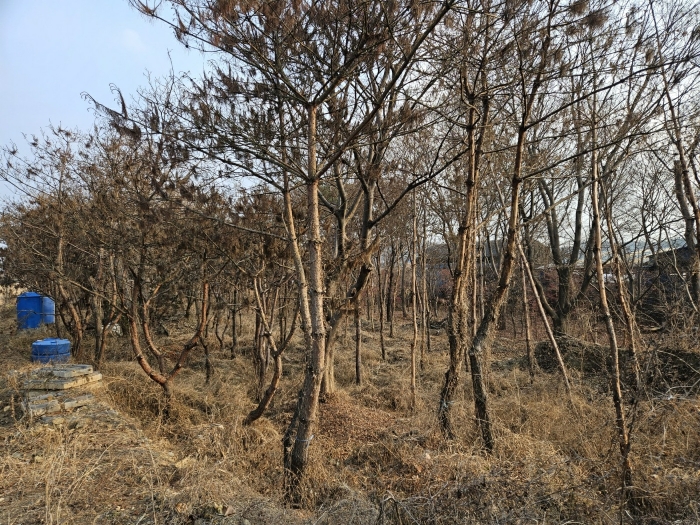 기호(2)토지 전경