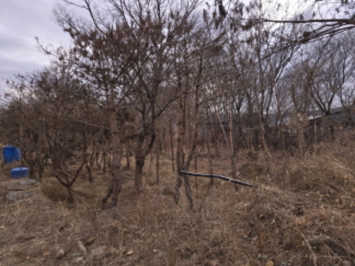 용천리 49-20
용천리 49-19