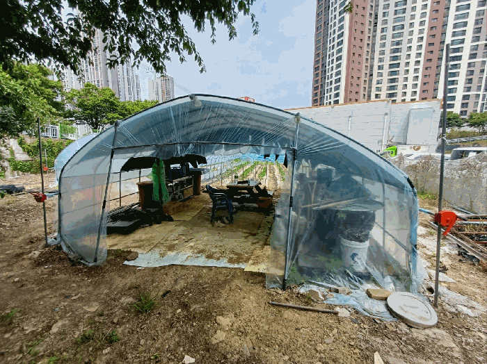 본건 전경(비닐하우스 등)