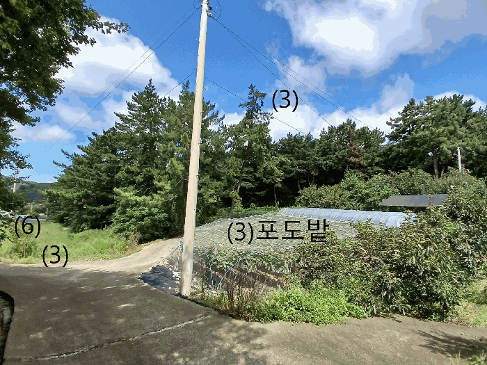 토지(3,6) -남동측 인근에서 촬영