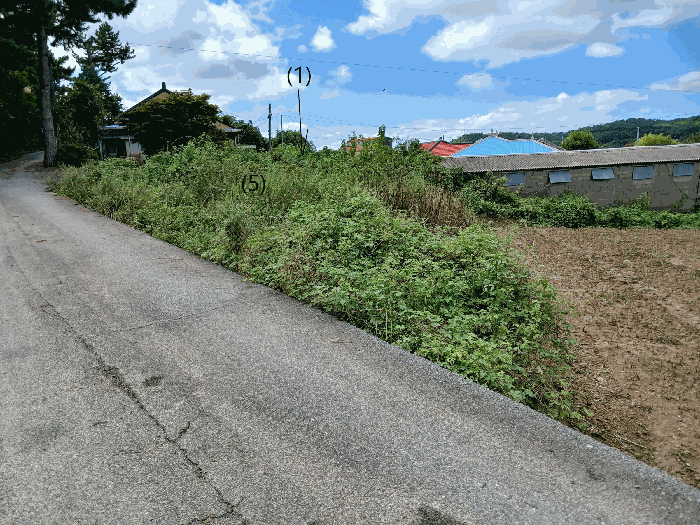 토지(5) 서측부분