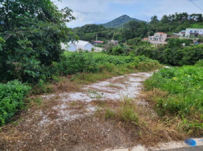 본건 1,2항의 진입로 사진