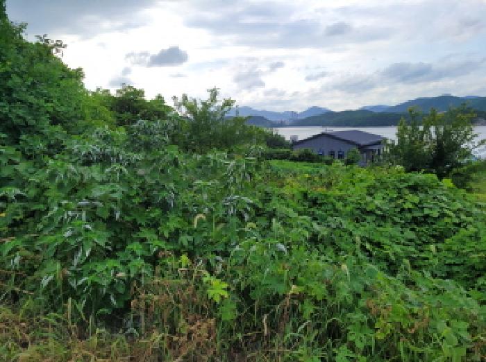 본건 1항의 전경사진임.