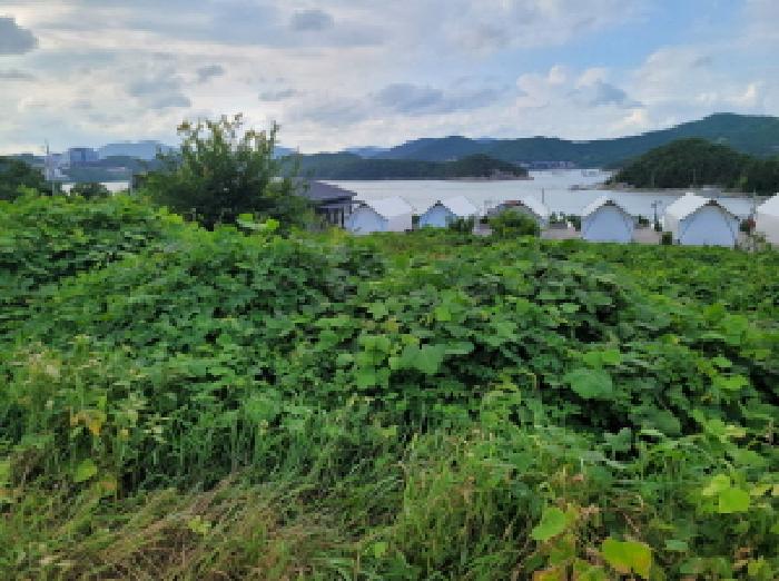 본건 1항의 전경사진임.