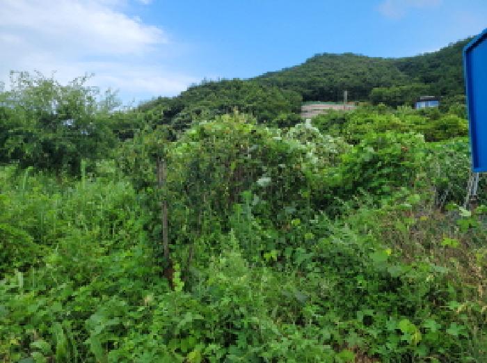 본건 2항의 전경사진임.