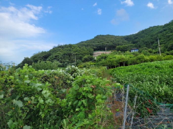 본건 2항의 전경사진임.