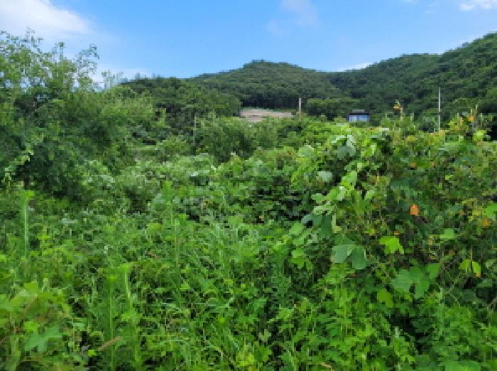 본건 2항의 전경사진임.