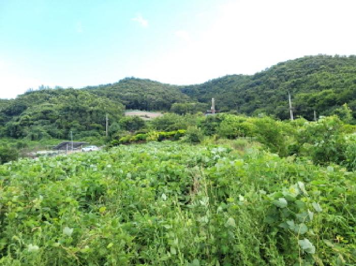 본건 2항의 전경사진임.