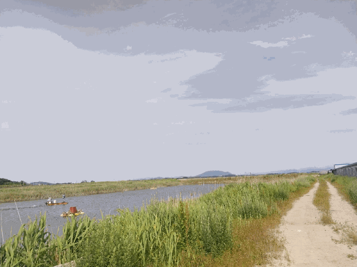 본 건 전 경
(기호 7, 8)