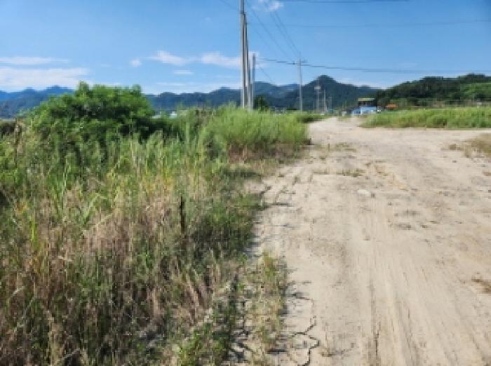 부동산표시 제5호, 제6호