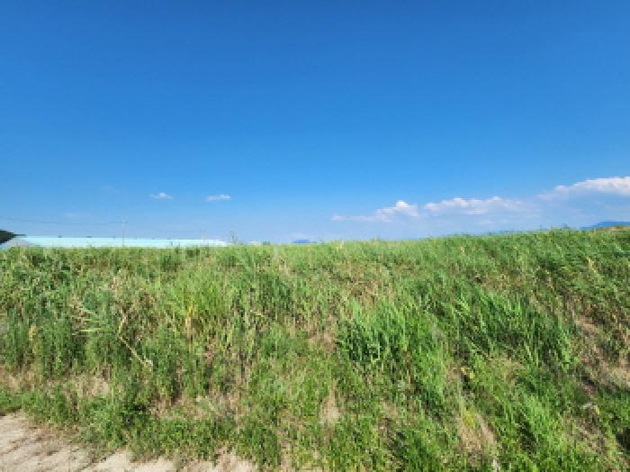 부동산표시 제9호, 제11호