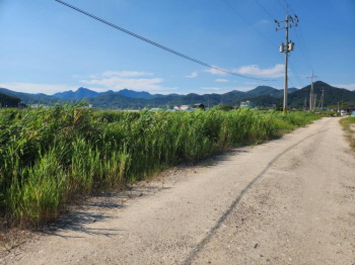부동산표시 제10호